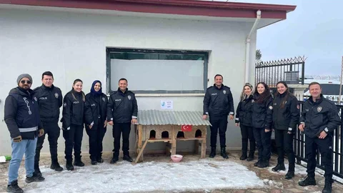 Sivrice'de Sokak Kedilerine Destek