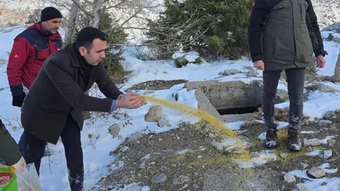 Yabani Hayvanlara Yem Bırakıldı