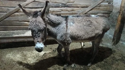 Kırşehir'de Duyarlı Hareket