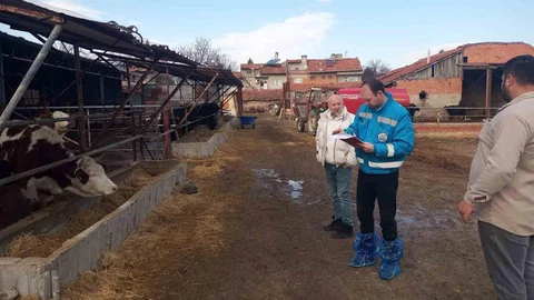 Kütahya'da Hayvancılık Kapasite Tespiti Devam Ediyor