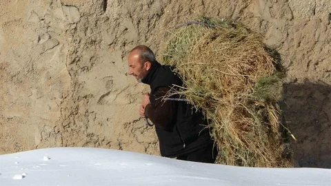 Van'da Besicilerin Kış Mücadelesi