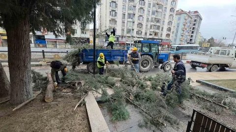 Kütahya’da Fırtına Ağaçları Devrildi