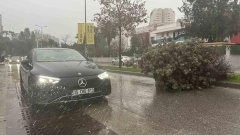 İzmir'de Fırtına Ağaçları Devrildi