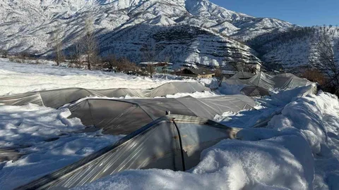 Derecik'te Sera Zararları