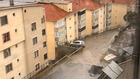 Gemlik'te Lodos Etkisi Büyüyor
