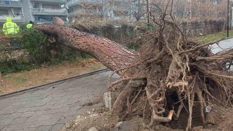 Salihli'de Fırtına Felaketi Yaşandı