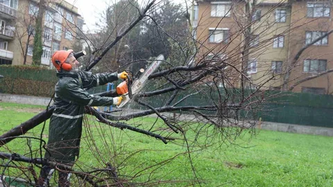 Bursa'da Şiddetli Rüzgar Etkili Oldu