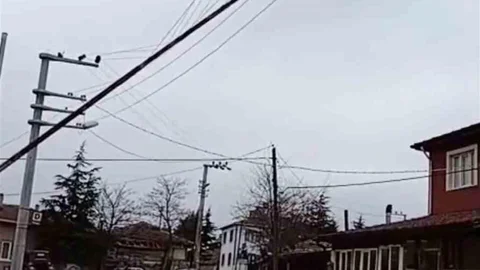 Seyitgazi'de Dev Bayrak Direği Devrildi