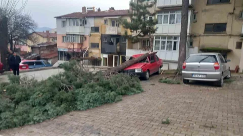 Gediz'de Şiddetli Rüzgar Etkili Oldu