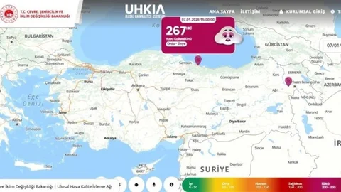 Ünye'de Hava Kalitesi İtirazı