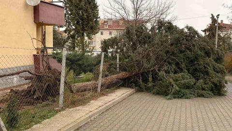 Eskişehir'de Fırtına Sonrası Zararlar