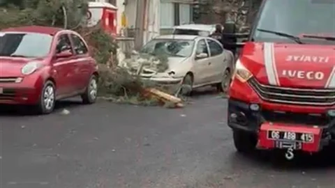 Beypazarı'nda Fırtına Ağaçları Devirdi