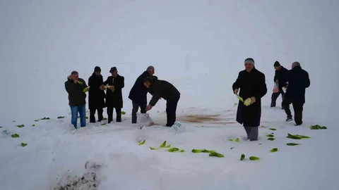 Muş'ta Yaban Hayvanları İçin Yem Bırakıldı