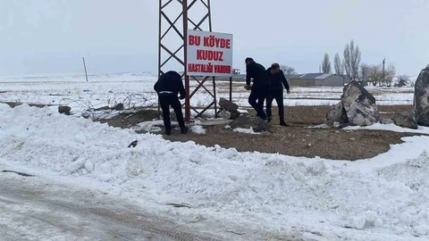 Adilcevaz'da Kuduz Alarmı Verildi