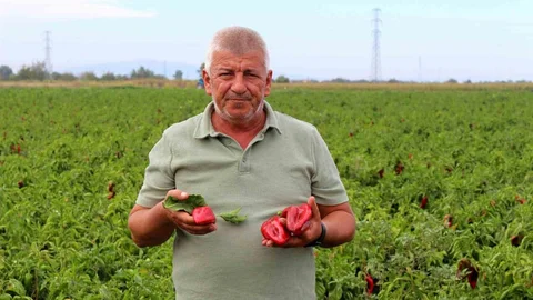 Çiftçiler Maliyet Krizine Dikkat Çekti