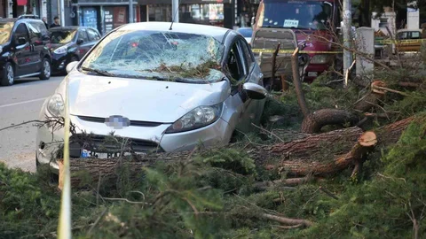 Samsun’da Fırtına Otomobile Zarar Verdi