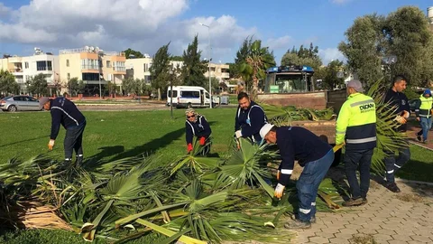 Didim Belediyesi Park Çalışmalarını Sürdürüyor