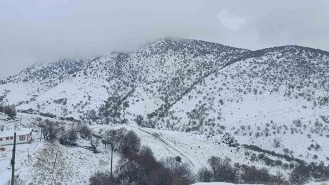 Malatya'da Kar Yağışı Etkili Oluyor