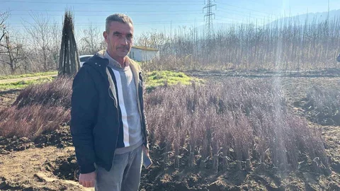 Bursa'da Meyve Bahçeleri Artıyor