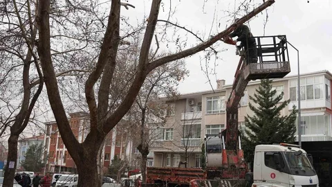Keçiören'de Park Bakım Çalışmaları Devam Ediyor