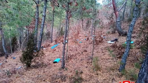 Kuzey Kore, Güney Kore Casus Drone'sunu Düşürdü