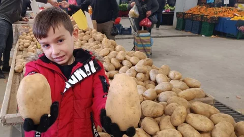 Dev Patatesler Sarıgöl Pazarında İlgi Odağı Oldu