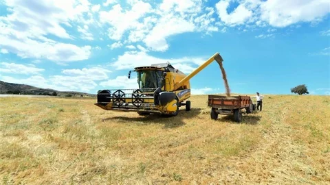 Bayburt'ta Üreticilere Yem Desteği Verilecek