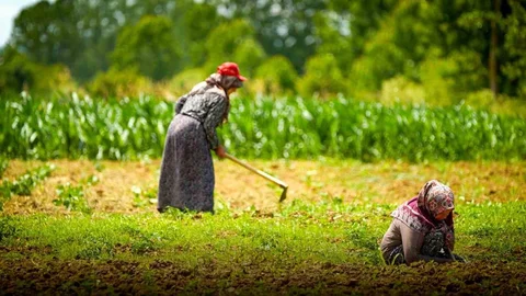 Kocaeli'de Kooperatiflere Hibe Desteği Verilecek