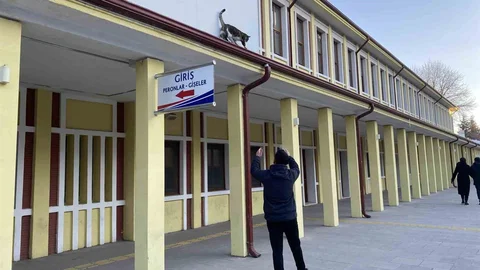 Eskişehir'de Kedi Olayı Tekrarlandı
