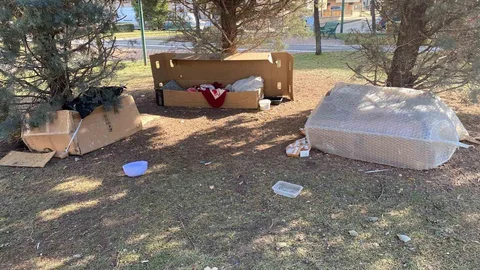 Soğuk Havalarda Sokak Hayvanlarına Destek