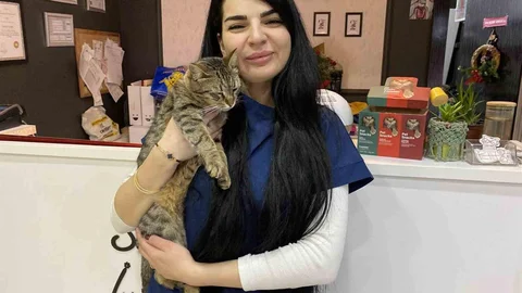 Eskişehir'de Sokak Hayvanlarına Dikkat