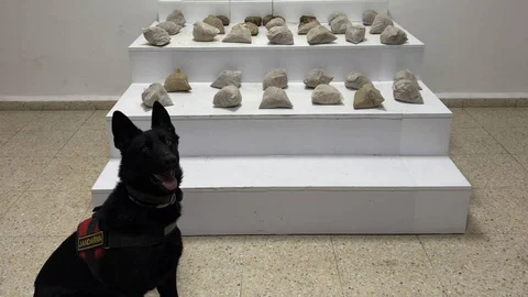 Van'da 24 Kilo Eroin Ele Geçirildi