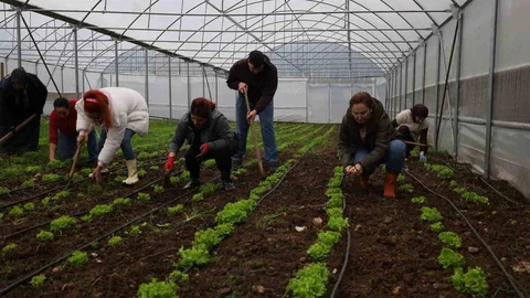 Kocaeli’de Tarım Akademisi ile Eğitim Fırsatları