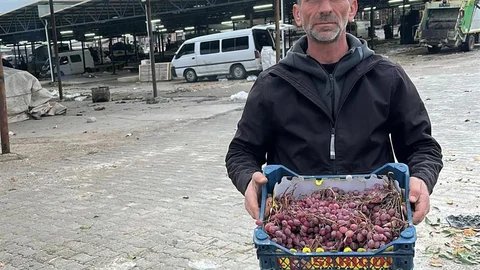 Manisa'da Üzüm Hasadı Tamamlandı