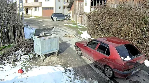 Bolu'da Yolda Yatan Köpeğe Çarpıldı