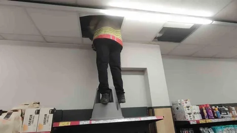 Hatay'da Mahsur Kalan Kedi Kurtarıldı