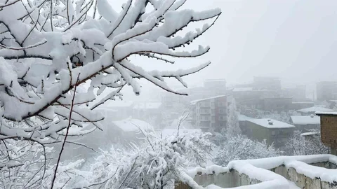 Hakkari'de Kar Afeti Devam Ediyor