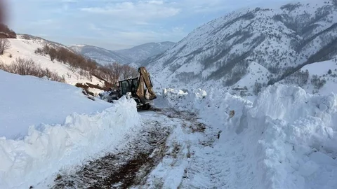Kulp'ta Kış Sert Yüzünü Gösterdi