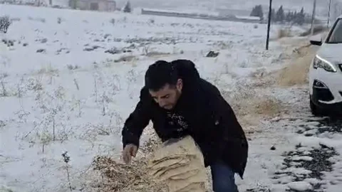 Çermik'te Yaban Hayvanları İçin Yem Bırakıldı