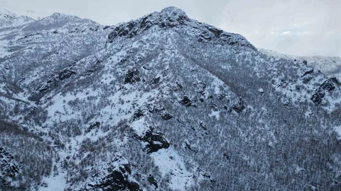Şırnak'ta Meşe Ormanları Karla Kaplandı
