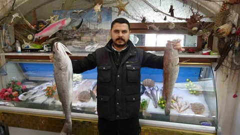 Gaziantep'te Balık Tüketimi Artıyor
