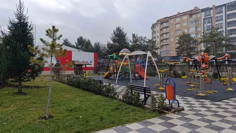 Afyonkarahisar'da Kar Yağışı Etkili Olmaya Başladı