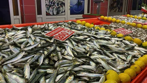 Bolu'da Balık Tezgahlarında Fırtına Etkisi