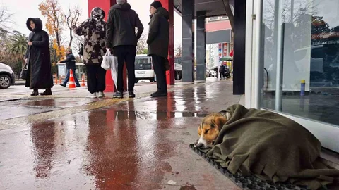 Samsun'da Duyarlı Esnaf Hareketi