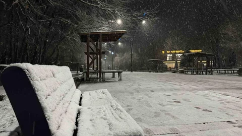 Sakarya'da Kar Yağışı Etkili Oluyor