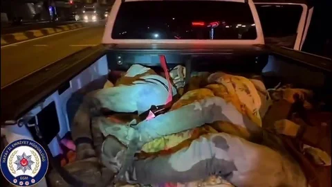 Hatay'da Kaçak Göçmen Operasyonu