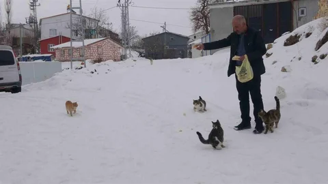 Kışın Boşalan Adıyaman Köyü'nde Sadece Bir Aile Yaşıyor