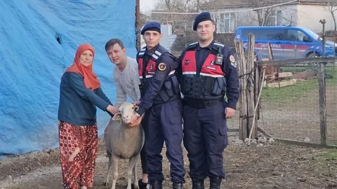 Çanakkale'de Kayıp Hayvanlar Bulundu