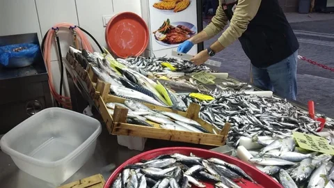 Tekirdağ'da Su Ürünleri Denetimleri Devam Ediyor