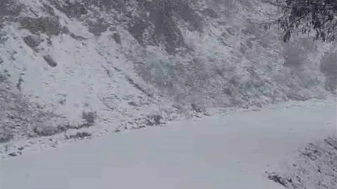 Yanan Orman Sahası Karla Beyaza Büründü